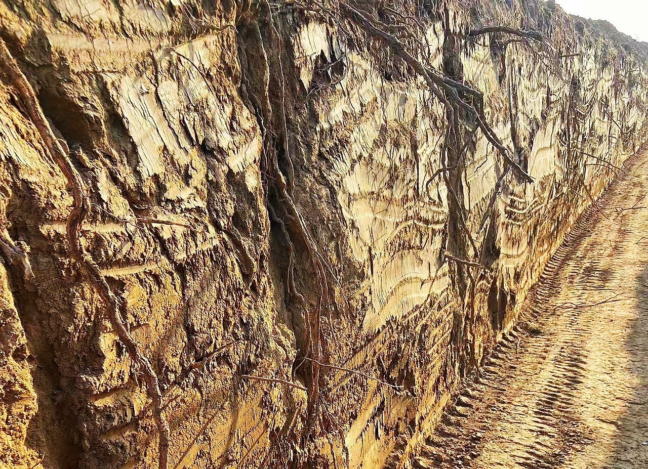 16690977637935.jpg 802da1404f014c9587baa9214094e01.jpg