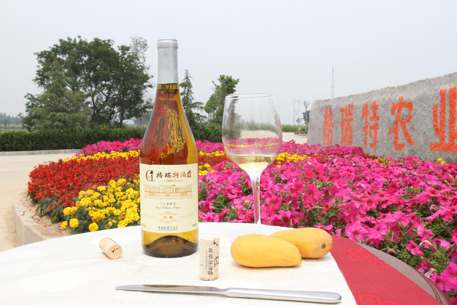 16833377545943.jpg IMG_1025.JPG