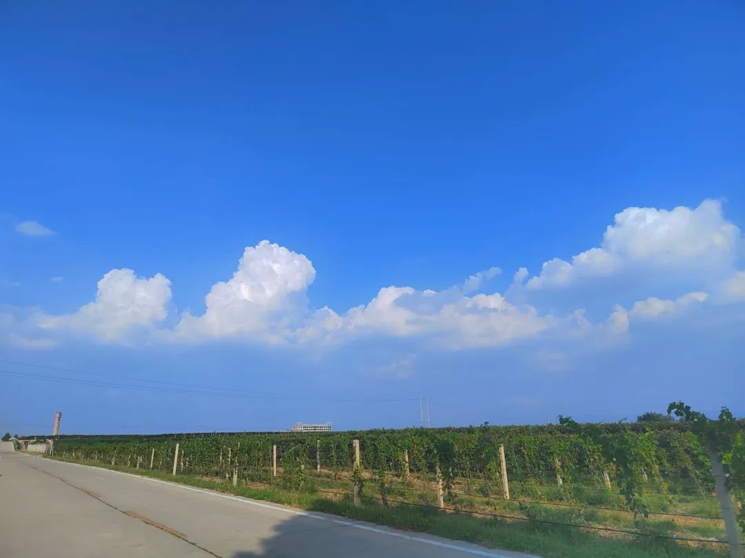 17113547791217.jpg 20ac3fec2b7375d65998a520a2448528.jpg