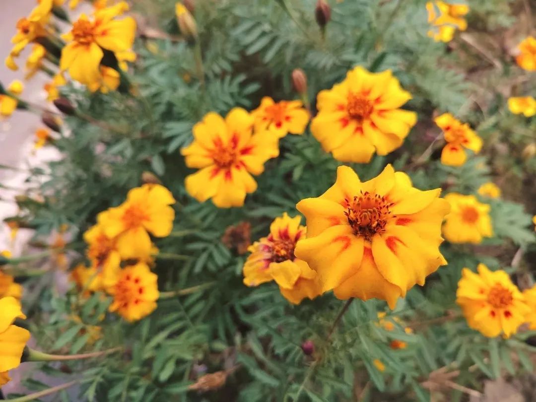 17113588788275.jpg f7b447f44acabdf3a9df8e44b4707736.jpg