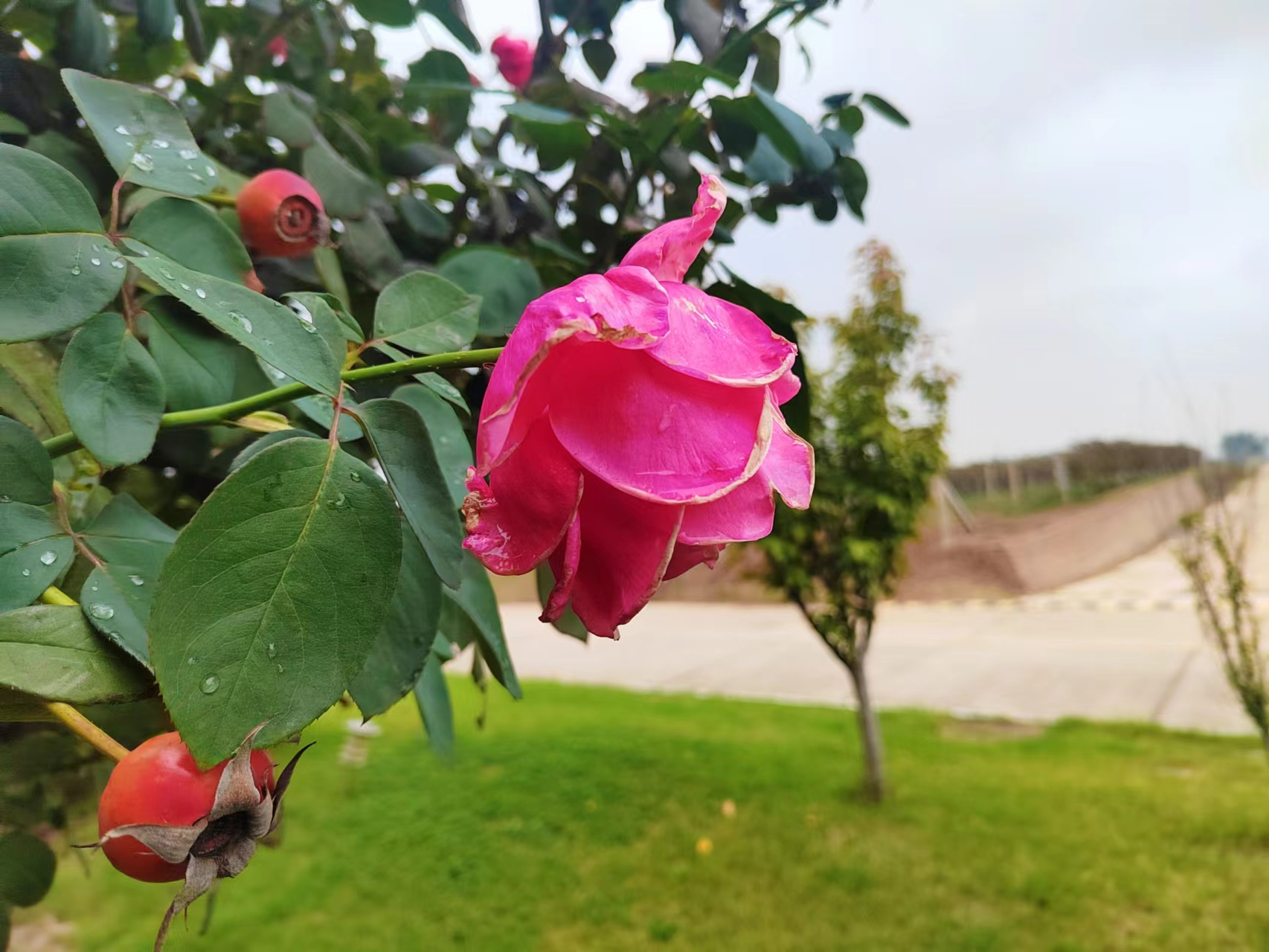 17114128532089.png 47e001472c61927722db4cddd17d81d2.png