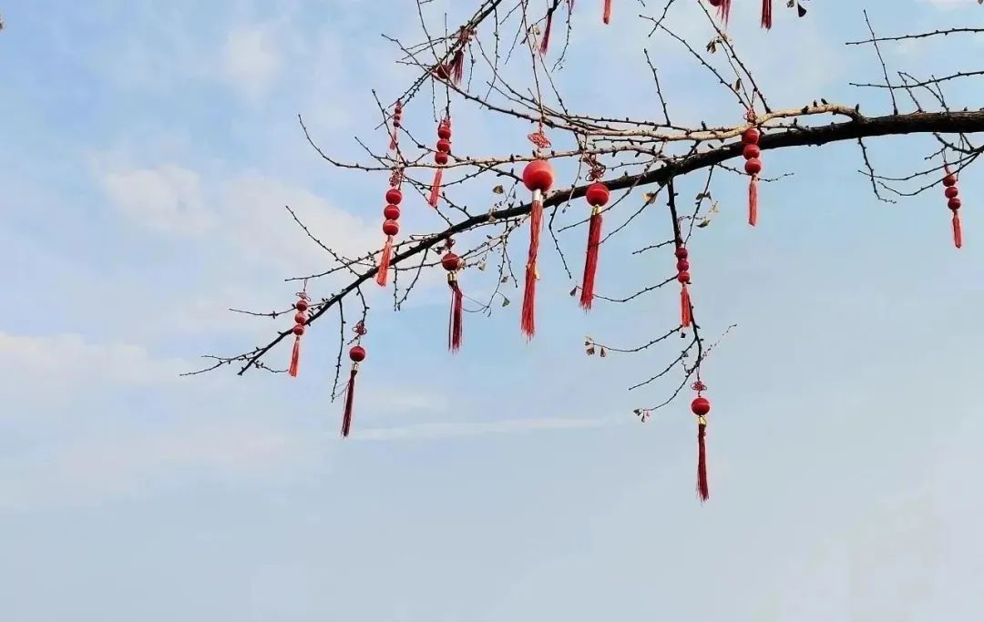 17114196543617.jpg eed18a6e3589cfafd236d44917573124.jpg