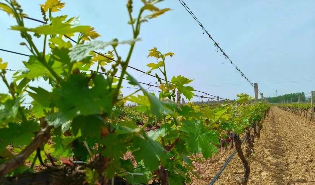 17161894427159.jpg 72df2a2a197cea851b5e90e3f9440289.jpg