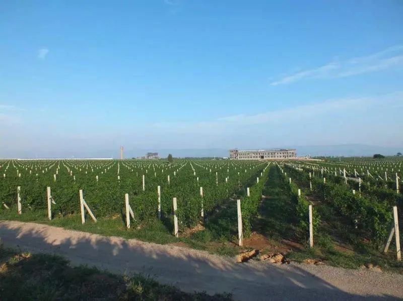 格瑞特莊園春季踏青游，一場微醺的春日盛宴等你來！